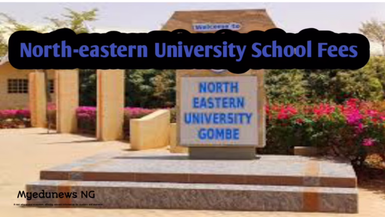 North-eastern University School Fees