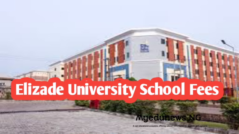 Elizade University School Fees