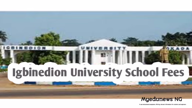 Igbinedion University School Fees