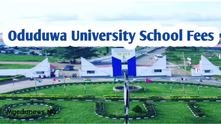 Oduduwa University School Fees