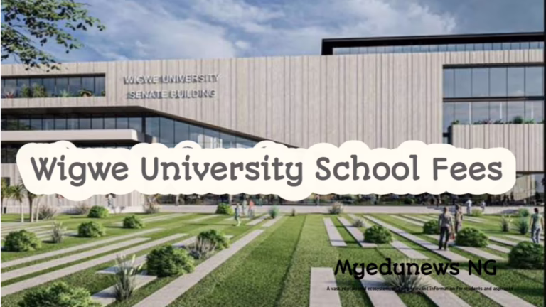 Wigwe University School Fees